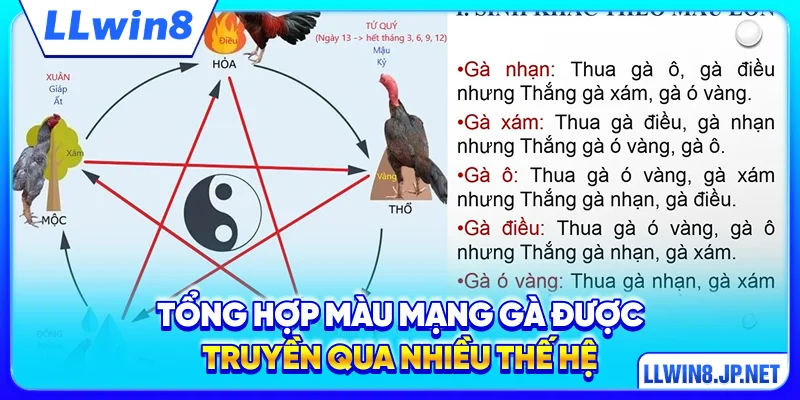 Tổng hợp màu mạng gà được truyền qua nhiều thế hệ